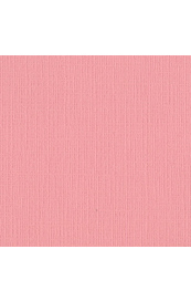 10581_image_28bdc81869aa159a.jpg Bazzill Blossom