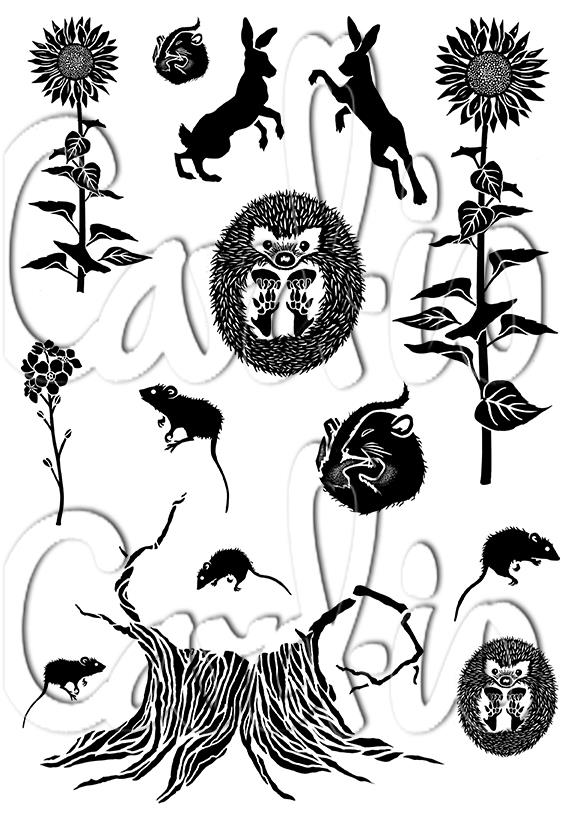 Card-io Summer Snooze A6