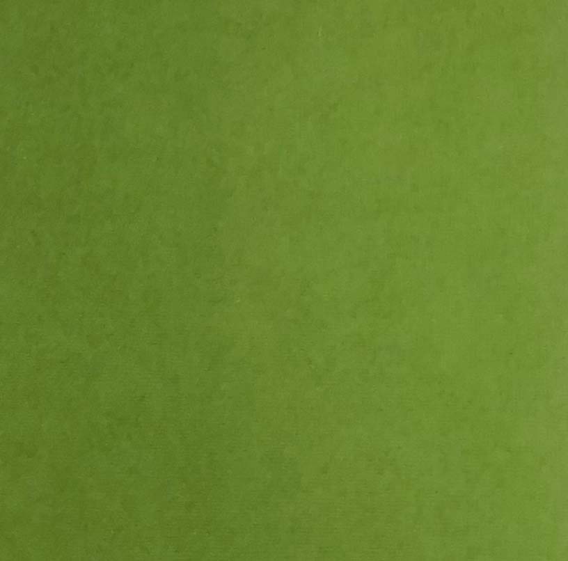 Reprint kartong - Moss - Bilde 1