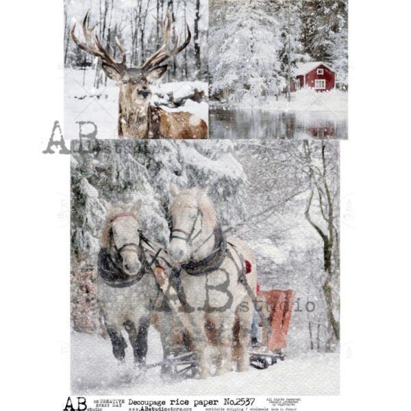 12802_image_5661b8ac9e512a95.jpg ABstudio Rispapir A4 No.2537