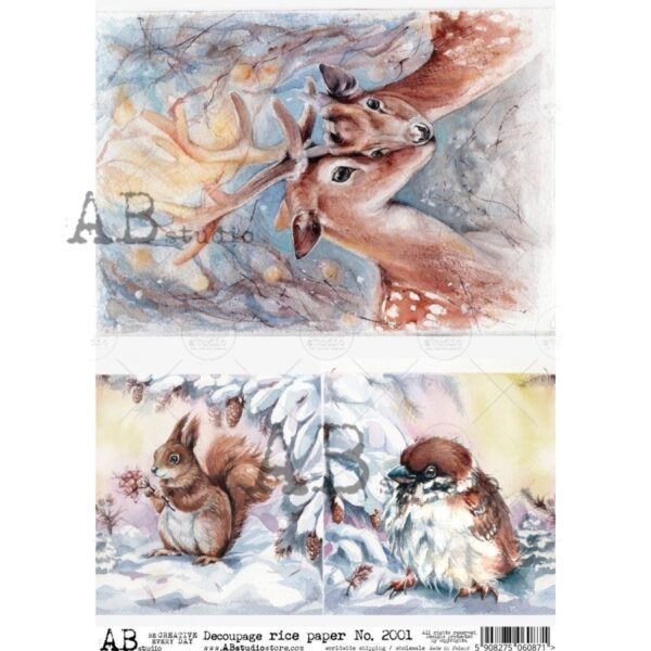 12829_image_cef6d4a8b9f75b01.jpg ABstudio Rispapir A4 No.2001