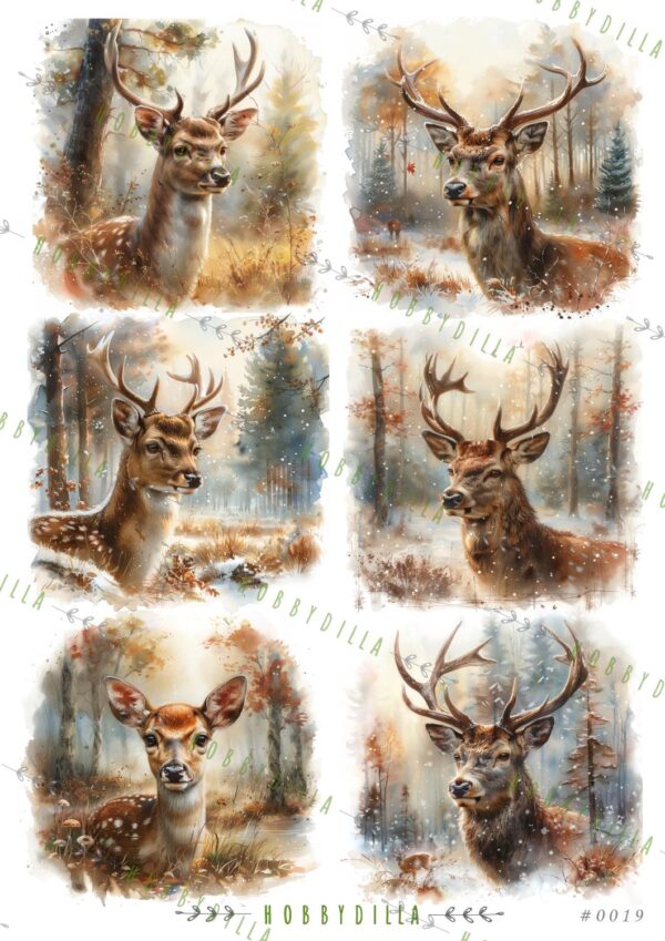 12937_image_e72916b4e881387f.jpg Rispapir A4 0019