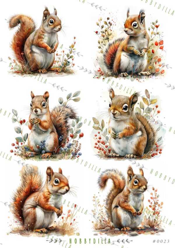 12944_image_d26571fe82505536.jpg Rispapir A4 0023