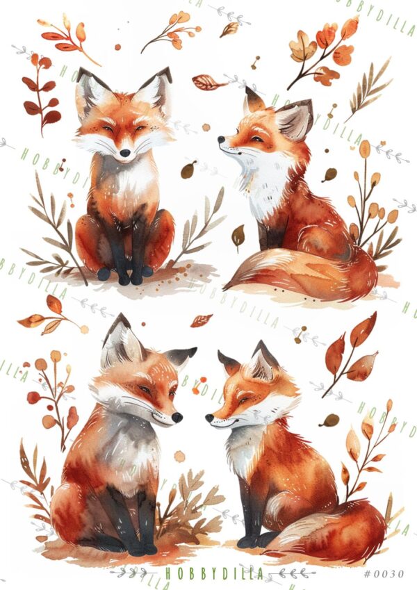 12951_image_f33327ac12fa3f44.jpg Rispapir A4 0030