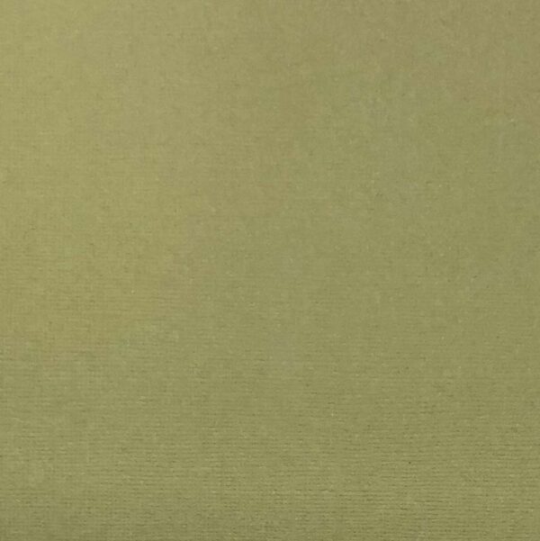 13313_image_af77976700e2712a.jpg Reprint kartong - Olive