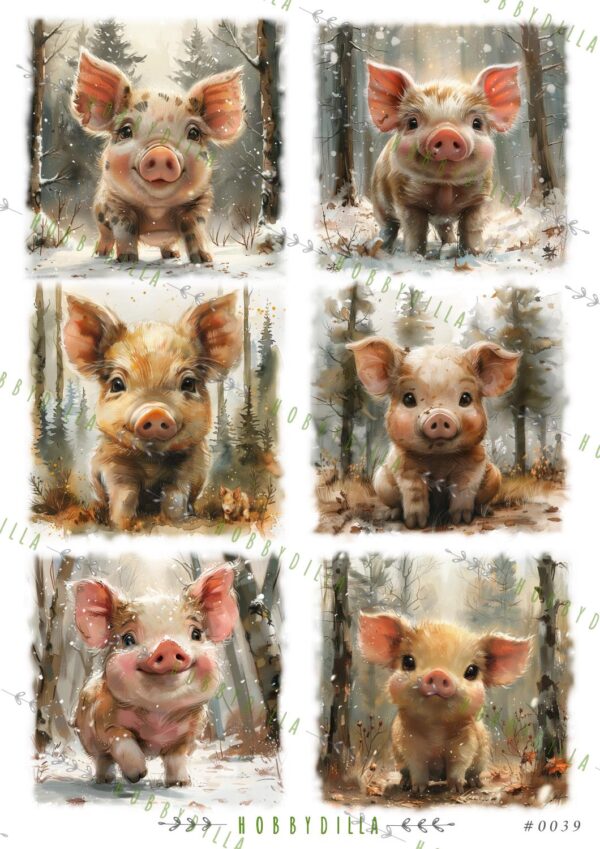 13385_image_91ace5de27851a87.jpg Rispapir A4 0039