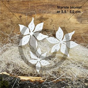 13562_image_25e59cae8c7db824.jpg Papirdesign Julestjerner 3 Dies