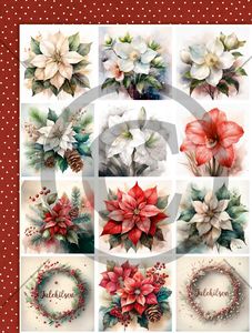 13564_image_50216e716a780463.jpg Papirdesign Motivark-Juleblomster