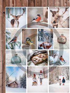 13569_image_48415c1c83f6631f.jpg Papirdesign Motivark-Utetid