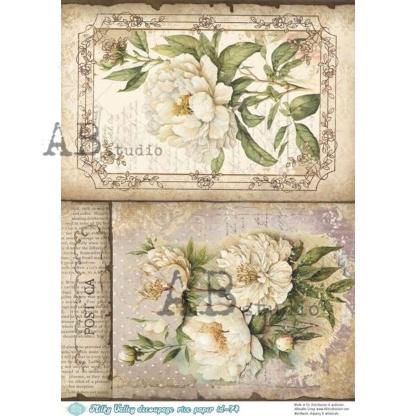 136.jpg ABstudio Rispapir A4 74