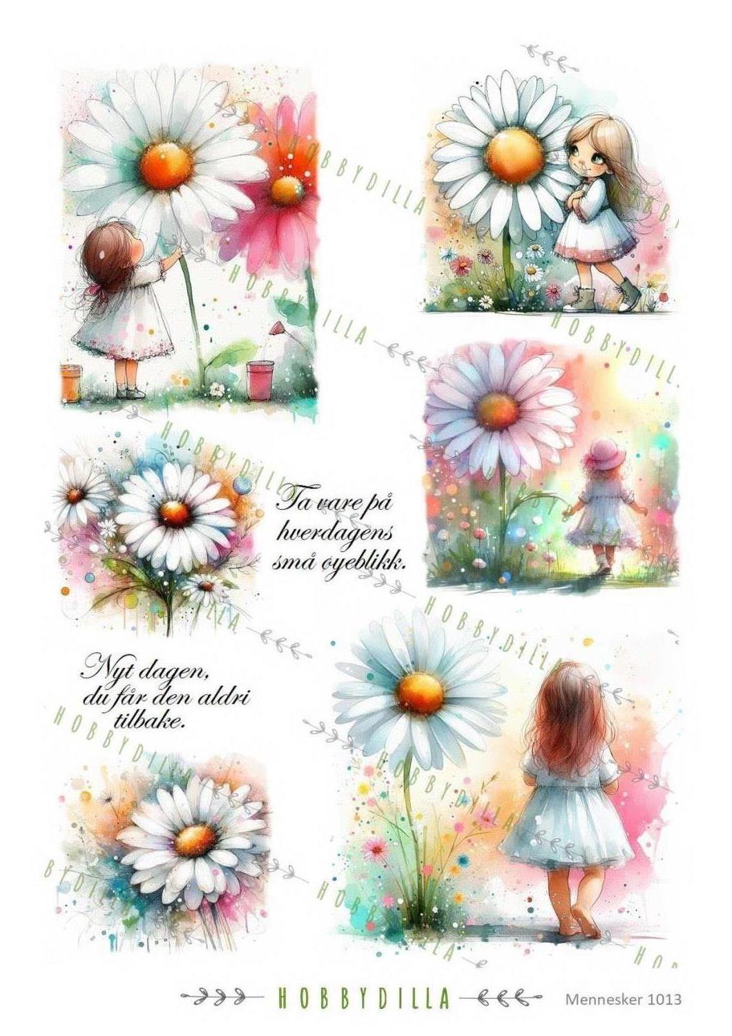 Rispapir A4 Barn 1013 Prestekrager - Bilde 1