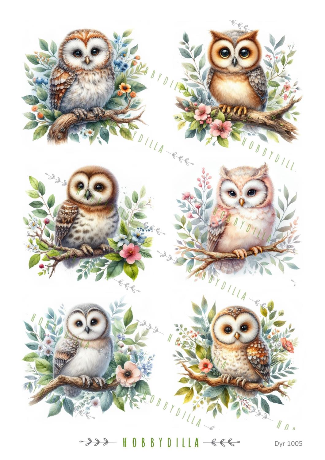 Rispapir Dyr 1005 Ugler - Bilde 1