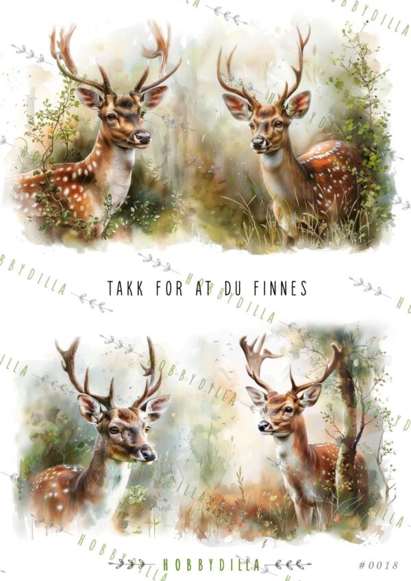 14328_image_3711fb3459f79529.jpg Motivark A4 0018 M