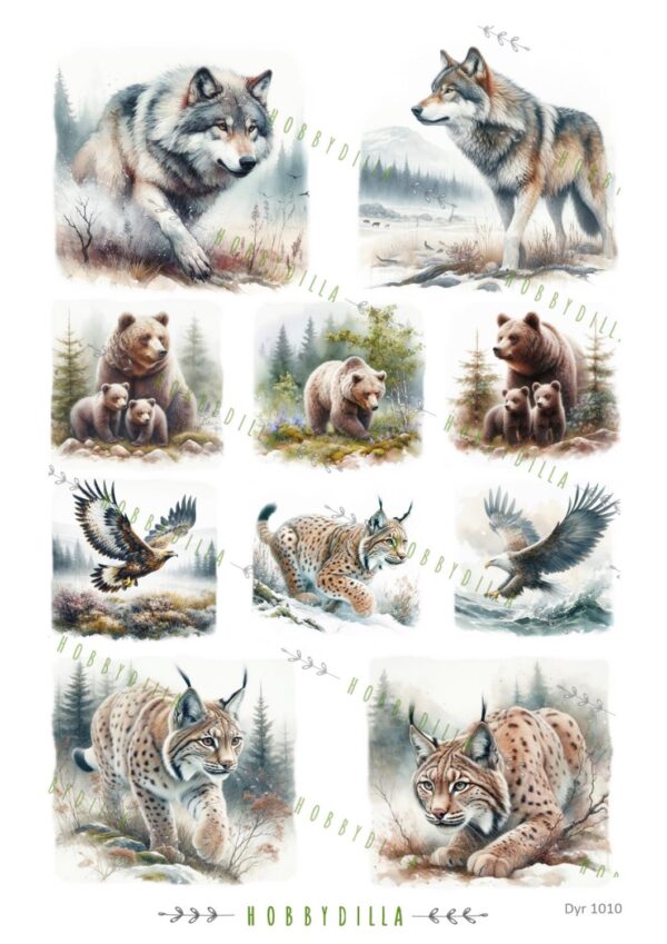 14360_image_eab3b728b3a6f8b6.jpg Motivark Dyr 1010 Norske rovdyr M