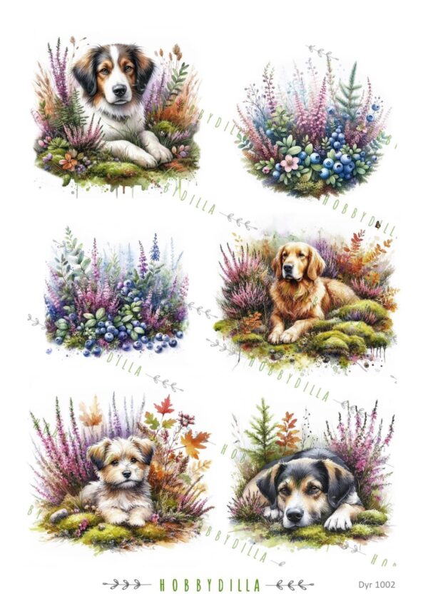 14361_image_da32f2424edf4570.jpg Motivark Dyr 1002 Hunder i lyngen M