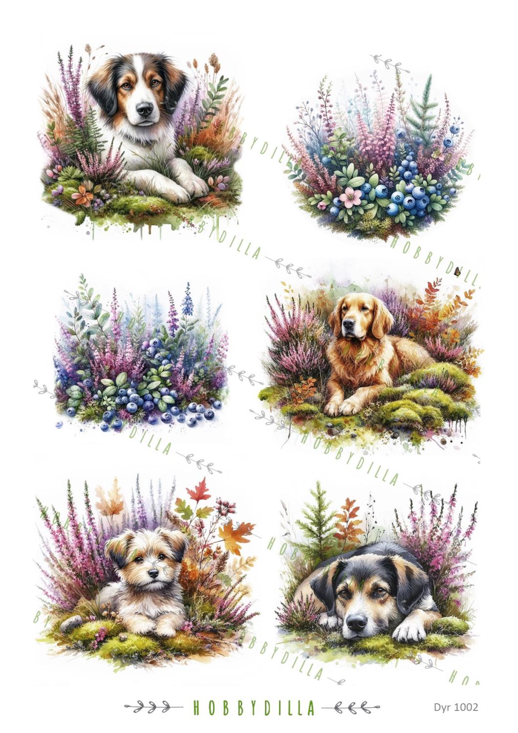 Motivark Dyr 1002 Hunder i lyngen M - Bilde 1