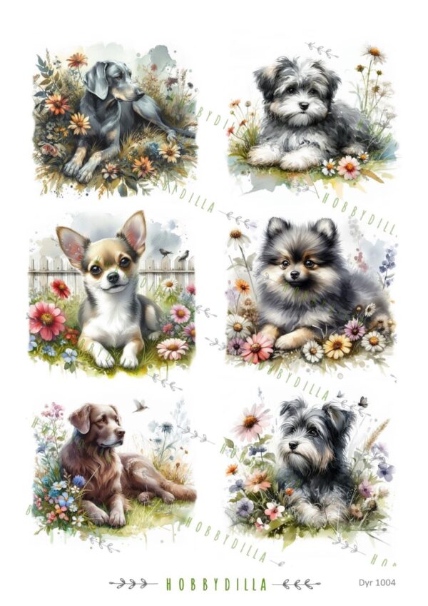 14362_image_5f12d5237692c585.jpg Motivark Dyr 1004 Hunder M