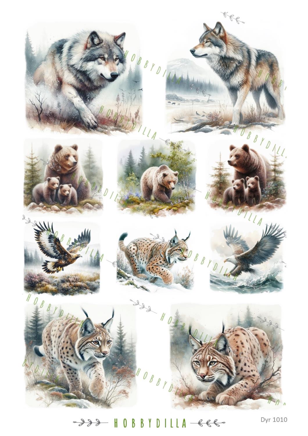 Rispapir A4 Dyr 1010 Norske rovdyr - Bilde 1