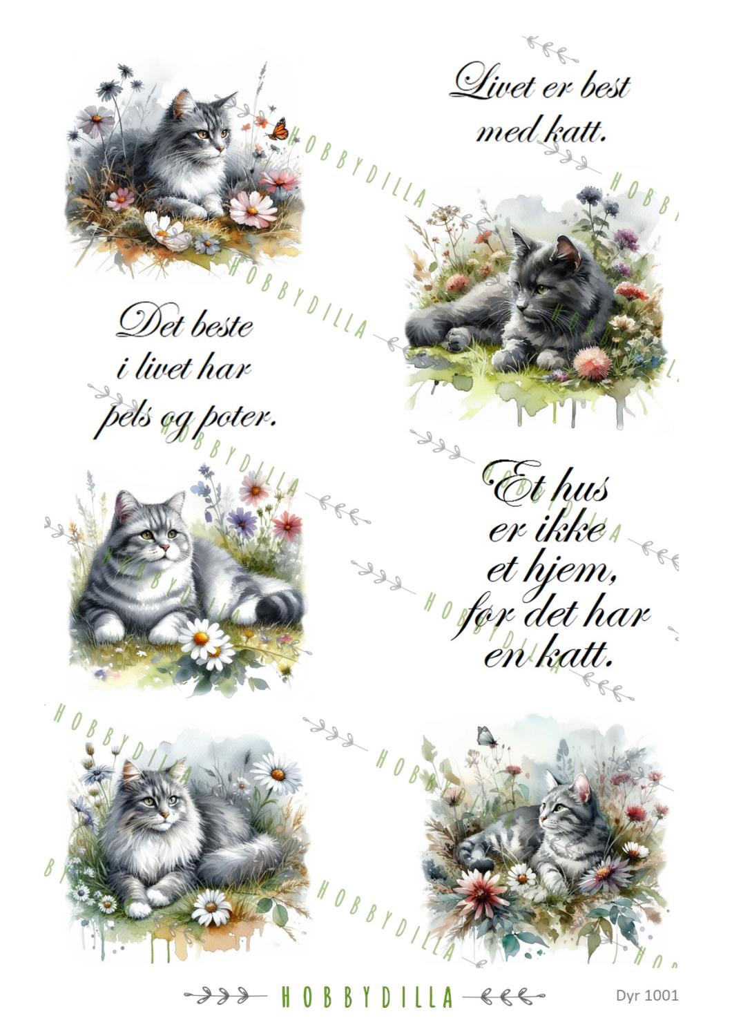 Rispapir A4 Dyr 1001 Best med katt - Bilde 1