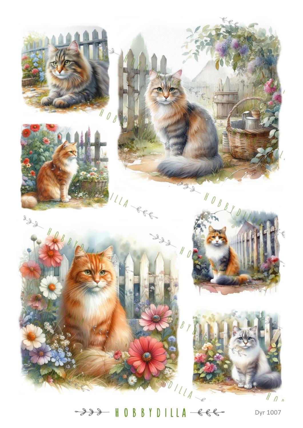 Rispapir A4 Dyr 1007 Katter i hagen - Bilde 1