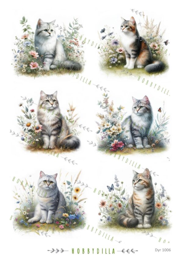 14372_image_38239a5350546102.jpg Motivark Dyr 1006 Katter M