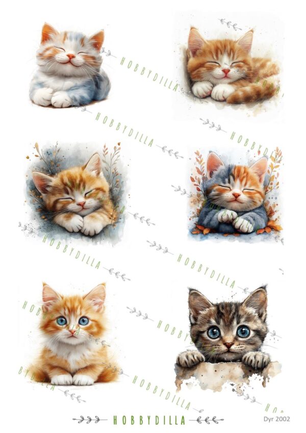 14437_image_8752819bb6280def.jpg Rispapir A4 Dyr 2002 Katter 2