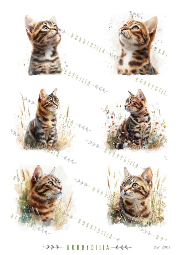 14762_image_fc869c8ab588dd9b.jpg Rispapir A4 Dyr 2003 Katter 3