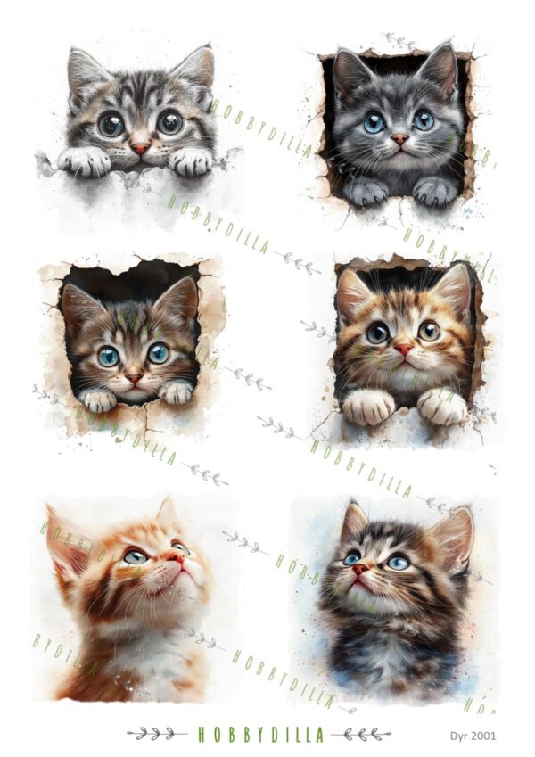 15209_image_f62c54c5015050c9.jpg Motivark Dyr 2001 M Katter