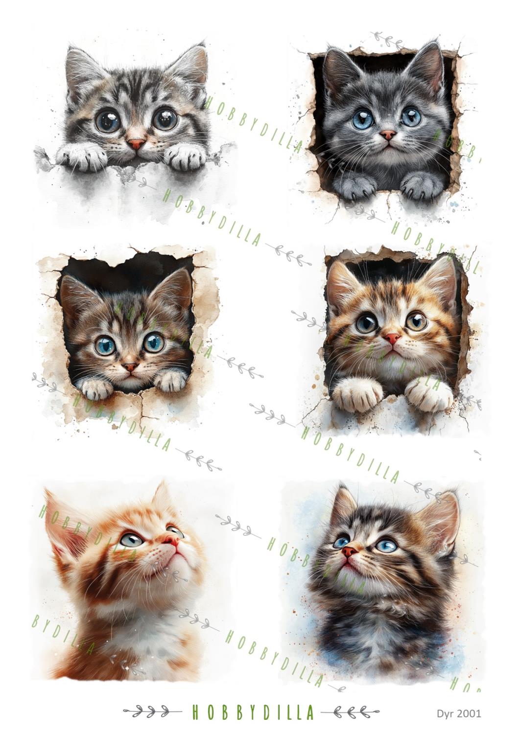 Motivark Dyr 2001 M Katter - Bilde 1