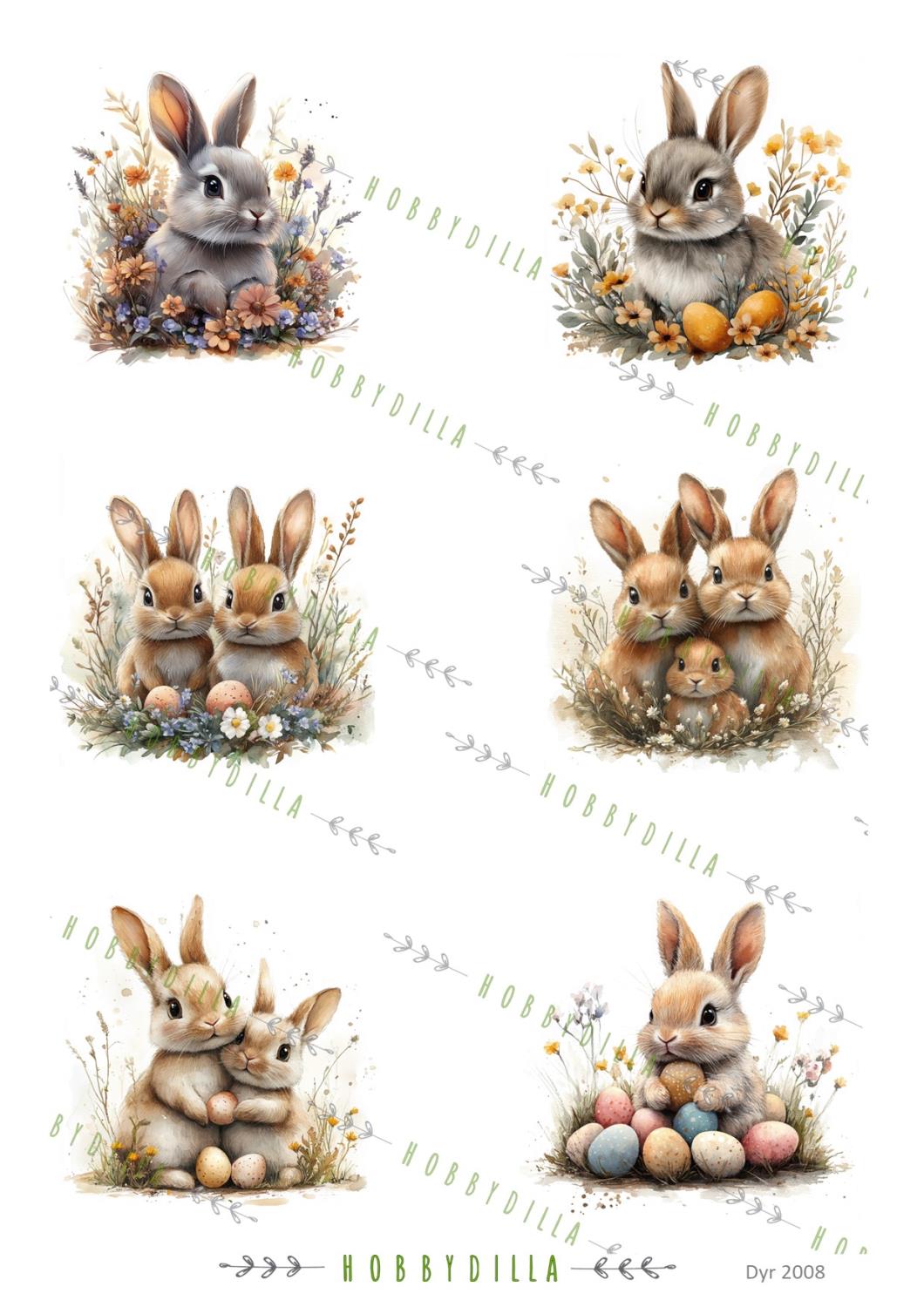 Motivark Dyr 2008 M Kaniner - Bilde 1