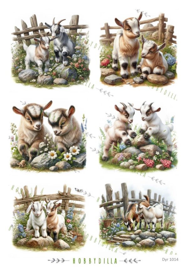 Rispapir Dyr 1014 Geitekillinger