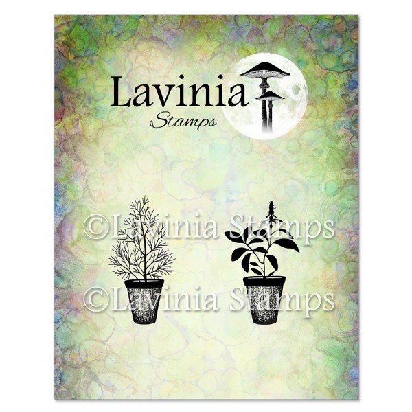 15398_image_3110259568edd712.jpg Lavinia Dill & Sage Pots Stamp LAV939