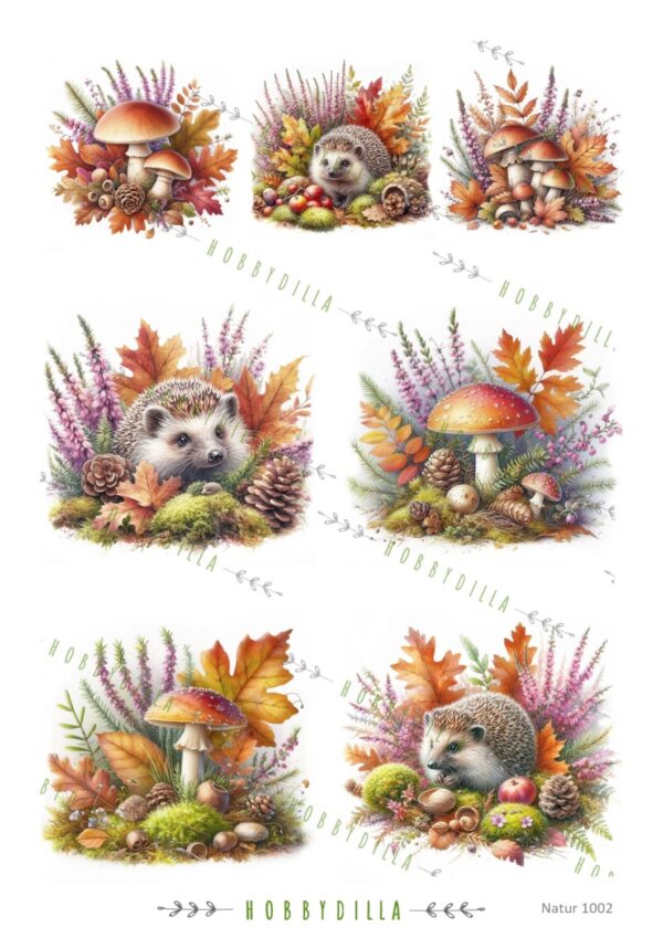 15469_image_f5356ae2989e2868.jpg Rispapir A4 Natur 1002 Høst med Pinnsvin