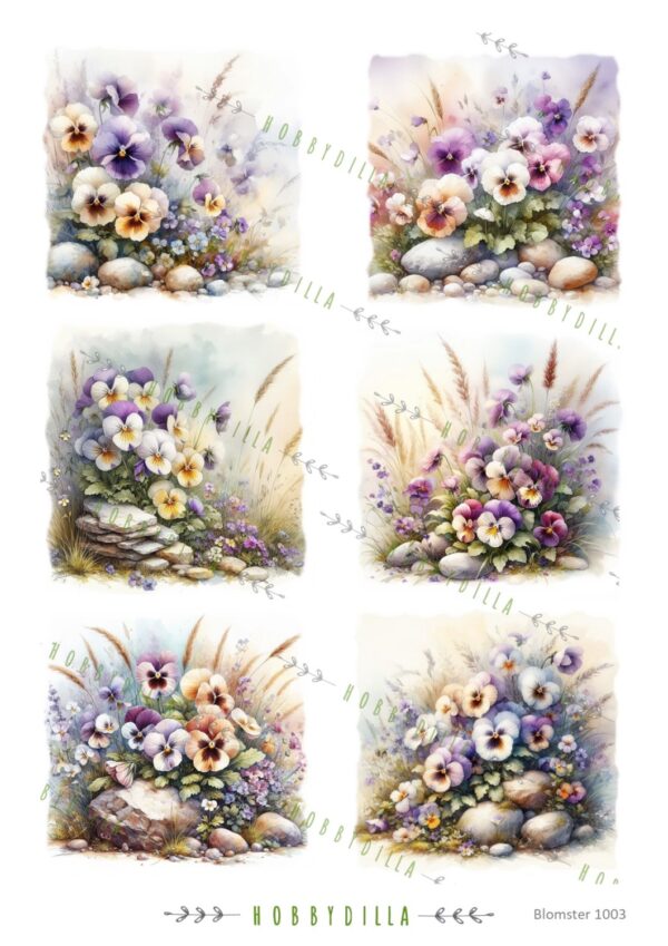 15486_image_3d31bbb98c83603b.jpg Rispapir A4 Blomster 1003 Stemorsblomster