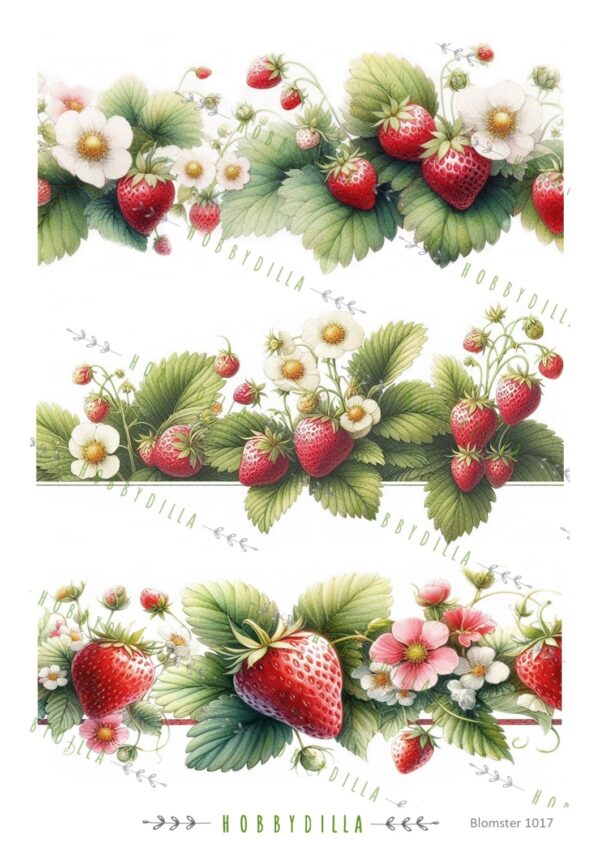 Rispapir Blomster 1017 Jordbær border