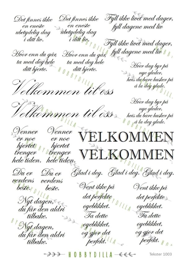 15625_image_c744b1afca1c0c57.jpg Motivark Tekster M 1003 Fine ord - Mørk Brun