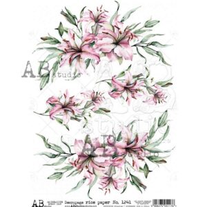 157.jpg ABstudio Rispapir A4 1241