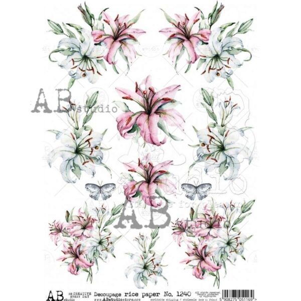 158.jpg ABstudio Rispapir A4 1240