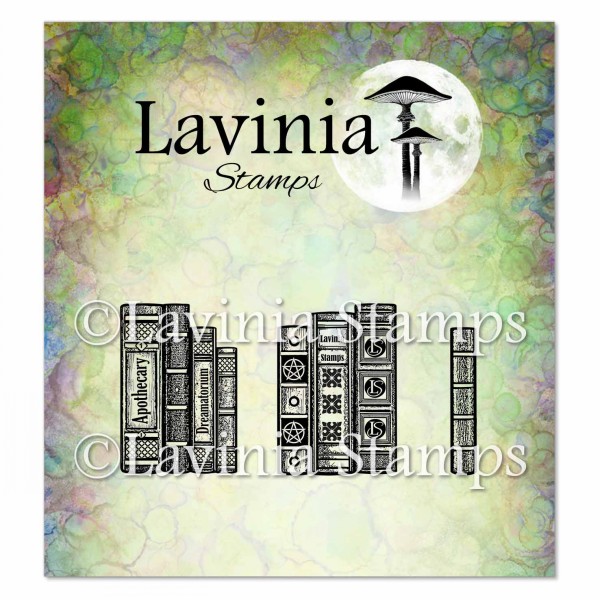 15876_image_d85c21b4ec2269e2.jpg Lavinia Book of Lost Words LAV958