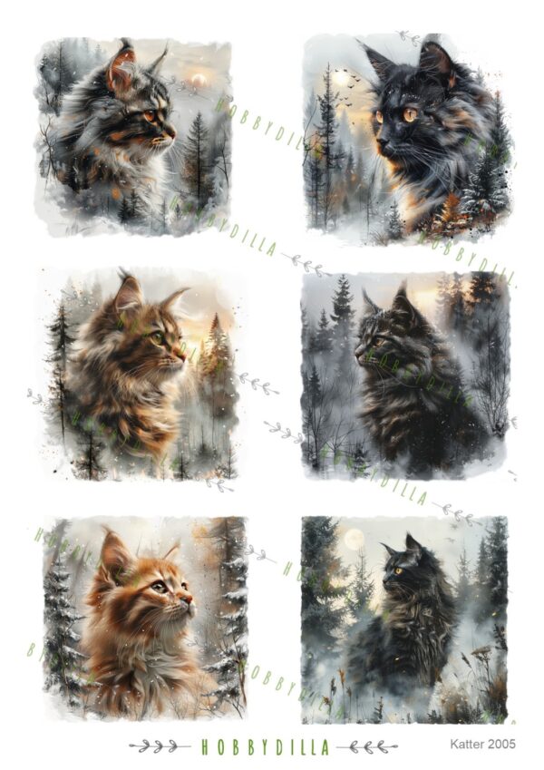 16011_image_859697ff63f49e71.jpg Rispapir A4 Dyr 2009 Katter 5