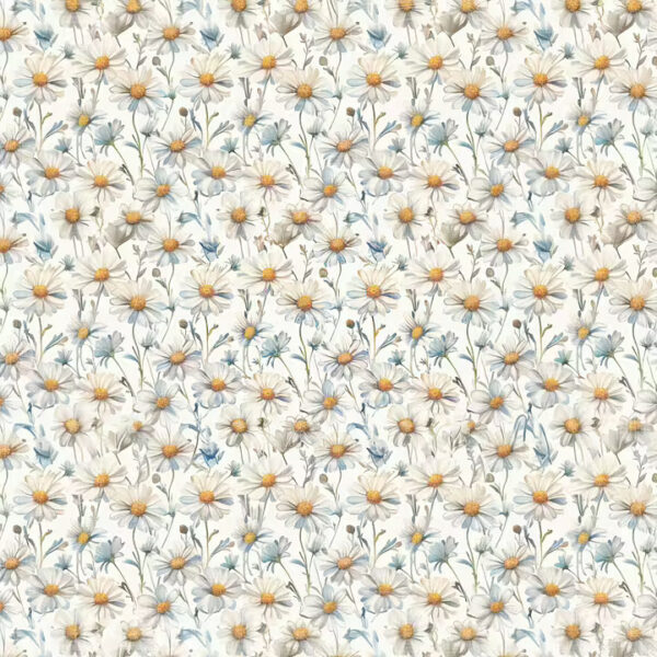 Reprint - Summer - Summer Daisies