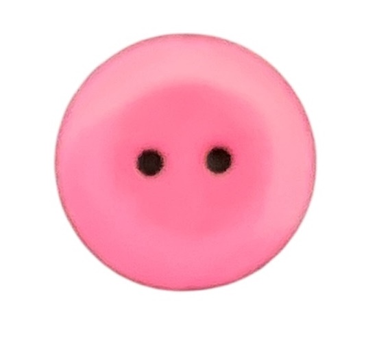 16123_image_1b363abbf4d92fe2.jpg Knapp 2 hulls 18 mm Rosa