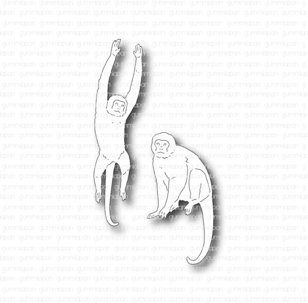 16567_image_26491f285706a31b.jpg Gummiapan Dies Aper