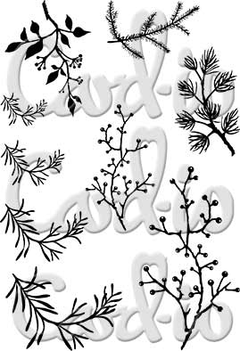 Card-io Branching Out A6