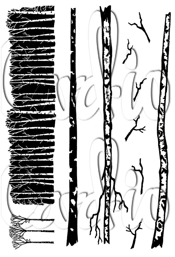 Card-io White Woods  A6