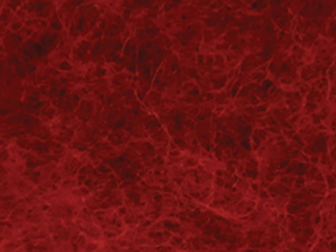 2837.jpg Ull 50g – 410 Nisserød, melert