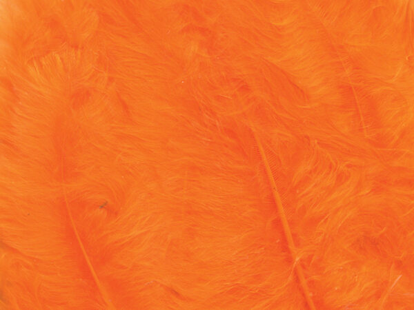 3491.jpg Fjær Orange - 15 stk