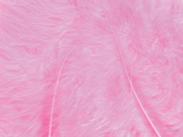 3497.jpg Fjær Rosa - 15 stk