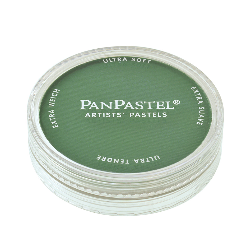 Panpastel 640,3 Permanent Green Shade - Bilde 1