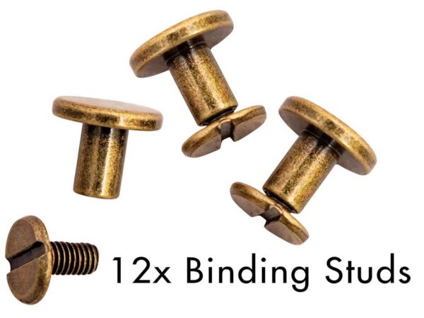 3987.jpg Studio Light Planner Essentials Binding studs – Old Gold